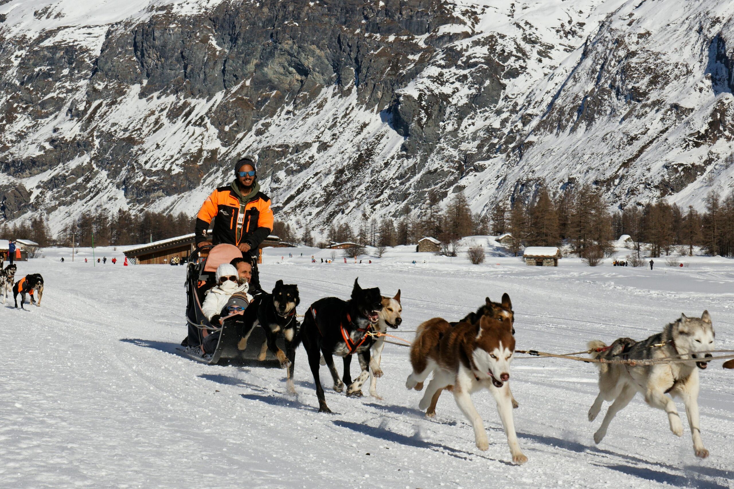 Experience thrilling dog sledding in breathtaking snowy mountain landscapes.