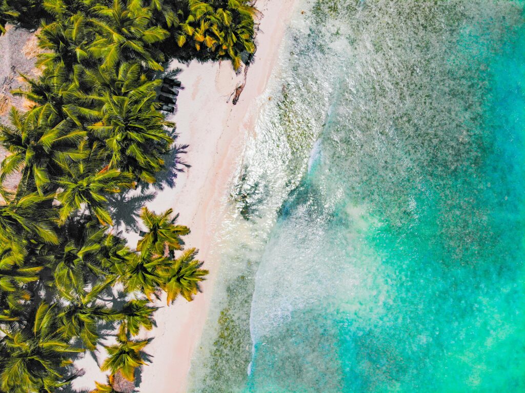 aerial view of a tropical beach