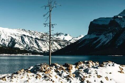 life in the rockies, road through the rockies, view of a snowy mountain
