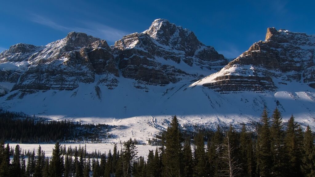 mountains, snow, sunrise, trees, conifer, coniferous, winter, morning, landscape, mountain range, nature, countryside, icefield, alberta, canada